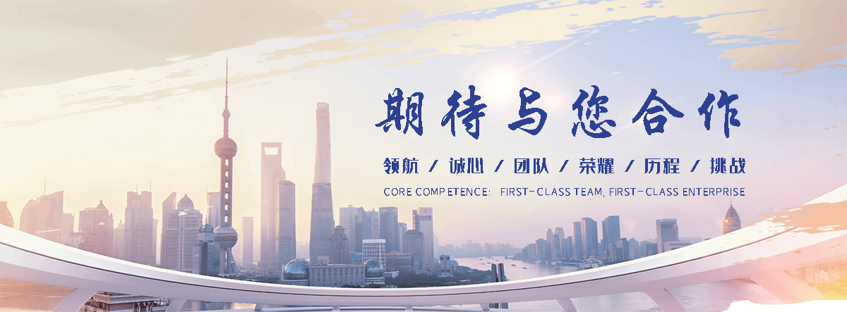 林州海狮租赁公司